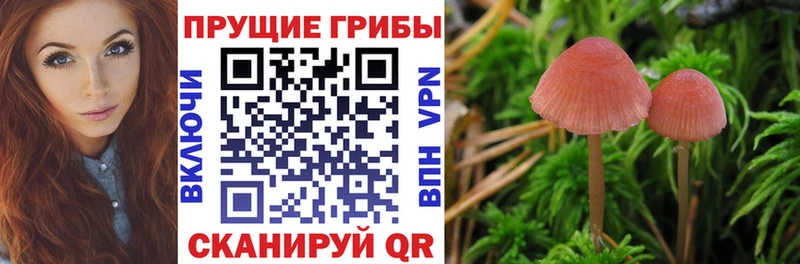 Псилоцибиновые грибы GOLDEN TEACHER  наркотики  Яровое 